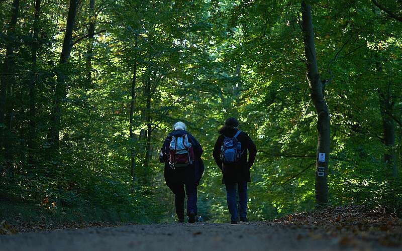 



    
        
                Fontane Wandermarathon 2021,
            
        
                Foto: Tourismusverband Ruppiner Seenland e.V./Thomas Janowitz
            
    
