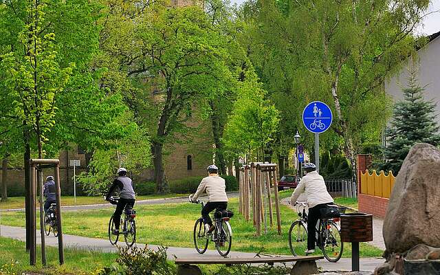 Cyclist in Birkenwerder