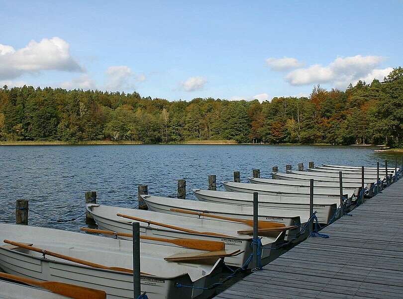 Der Stechlinsee bei Neuglobsow