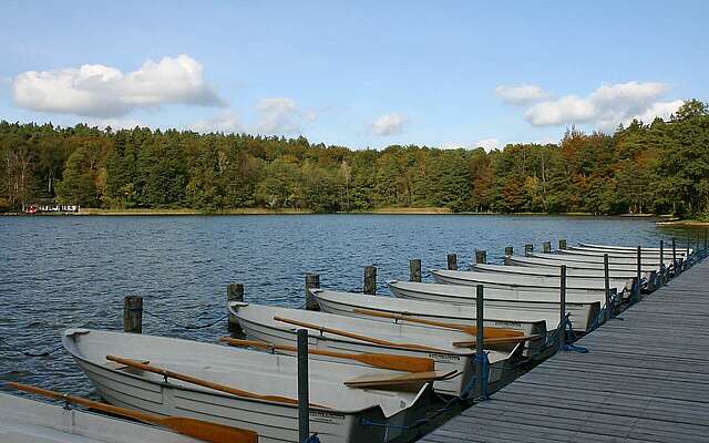 Der Stechlinsee bei Neuglobsow