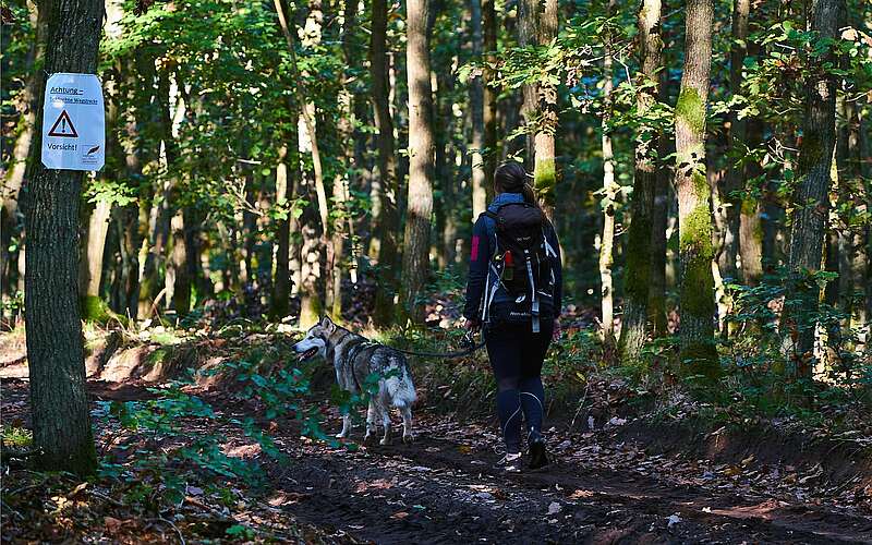 



    
        
                Fontane Wandermarathon 2021,
            
        
                Foto: Tourismusverband Ruppiner Seenland e.V./Thomas Janowitz
            
    
