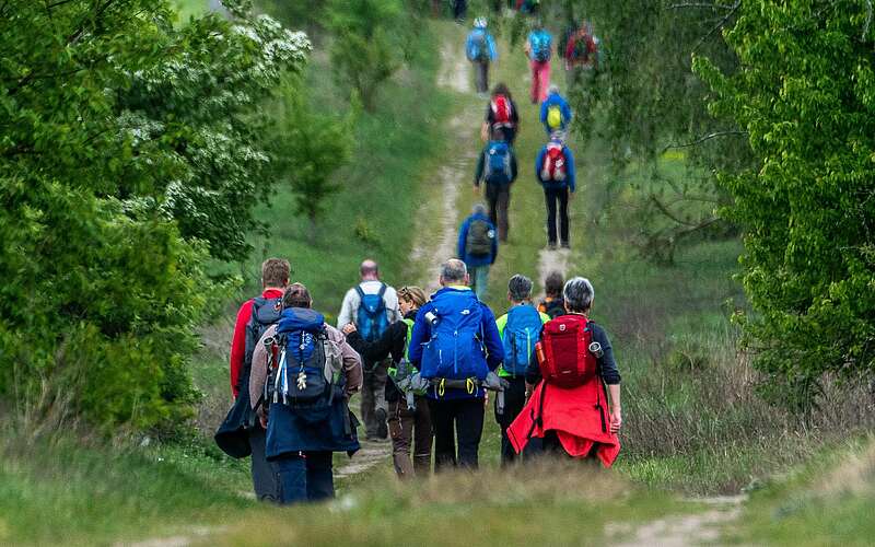 



    
        
                Fontane Wandermarathon 2019,
            
        
                Foto: Tourismusverband Ruppiner Seenland e.V./Daniel Marienfeld
            
    
