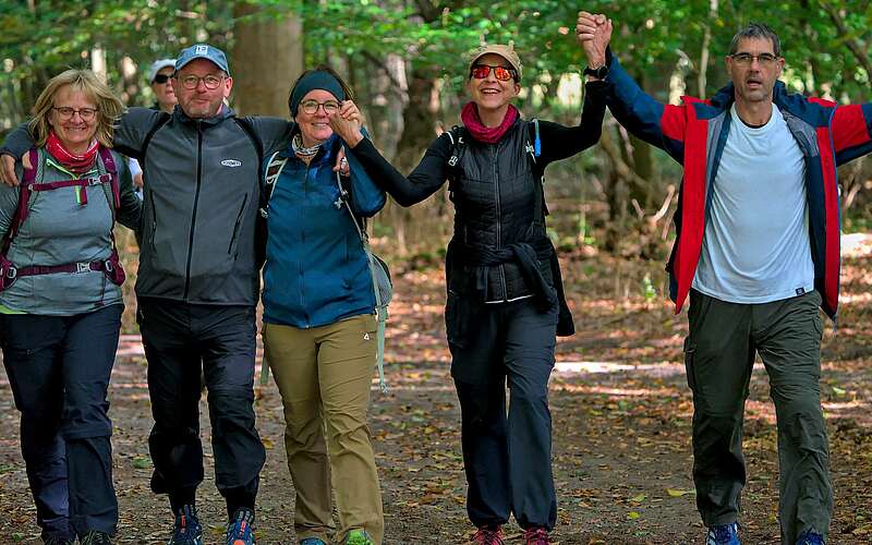 



    
        
                Wandergruppe im Wald,
            
        
                Foto: Tourismusverband Ruppiner Seenland e.V./Jannika Olesch
            
    
