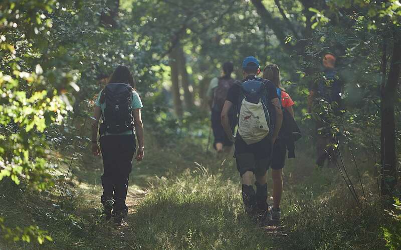 



    
        
                Fontane-Wandermarathon 2022,
            
        
                Foto: Tourismusverband Ruppiner Seenland e.V./Thomas Janowitz
            
    
