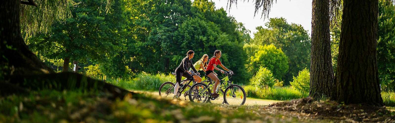 Radfahrer bei Himmelpfort,
            
        
                Picture: REGiO-Nord mbH/André Wirsig