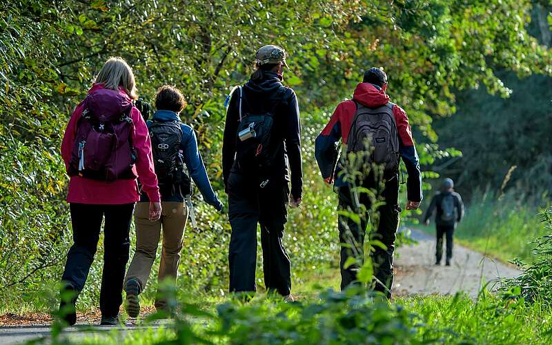 



    
        
                Wanderer im Grünen,
            
        
                Foto: Tourismusverband Ruppiner Seenland e.V./Jannika Olesch
            
    
