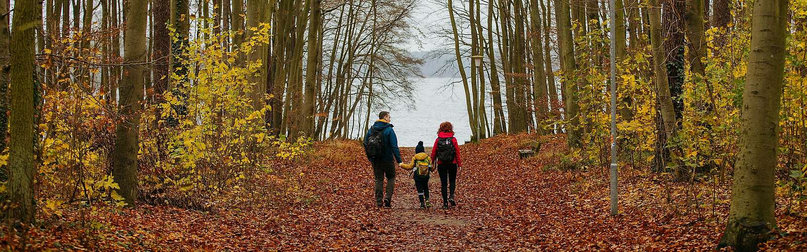 &amp;lt;p&amp;gt;Eine Familie aus Vater, Mutter und Kind wandert durch einen herbstlichen Wald&amp;lt;/p&amp;gt;,
    

        Foto: Tourismusverband Ruppiner Seenland e.V./Julia Nimke