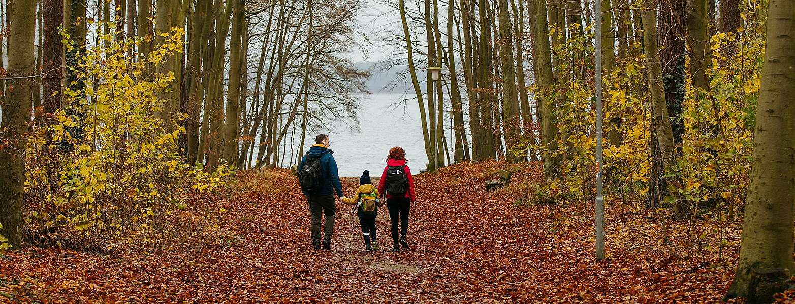 &lt;p&gt;Eine Familie aus Vater, Mutter und Kind wandert durch einen herbstlichen Wald&lt;/p&gt;,
    

        Foto: Tourismusverband Ruppiner Seenland e.V./Julia Nimke