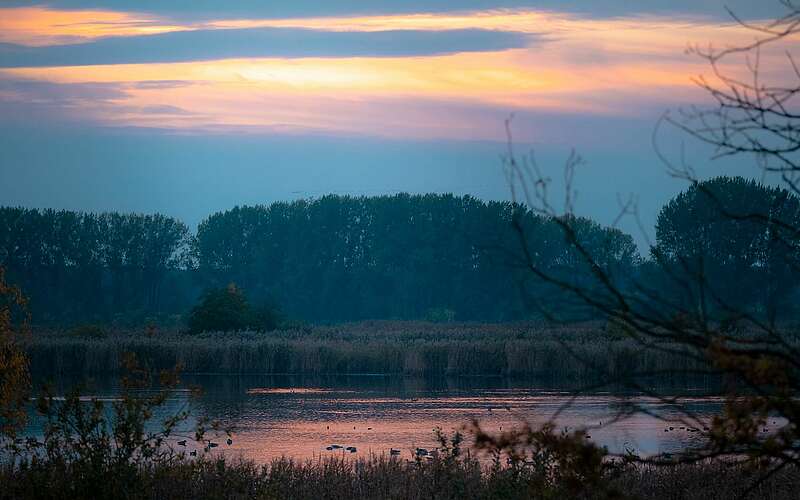 



    
        
                Morgenstimmung in der Teichlandschaft,
            
        
                Foto: Freiraum Ruppiner Land (Gefördert aus Mitteln des Bundes und des Landes Brandenburg im Rahmen der Gemeinschaftsaufgabe: „Verbesserung der regionalen Wirtschaftsstruktur“ – GRW-Infrastruktur)/Yannick Schuster
            
    
