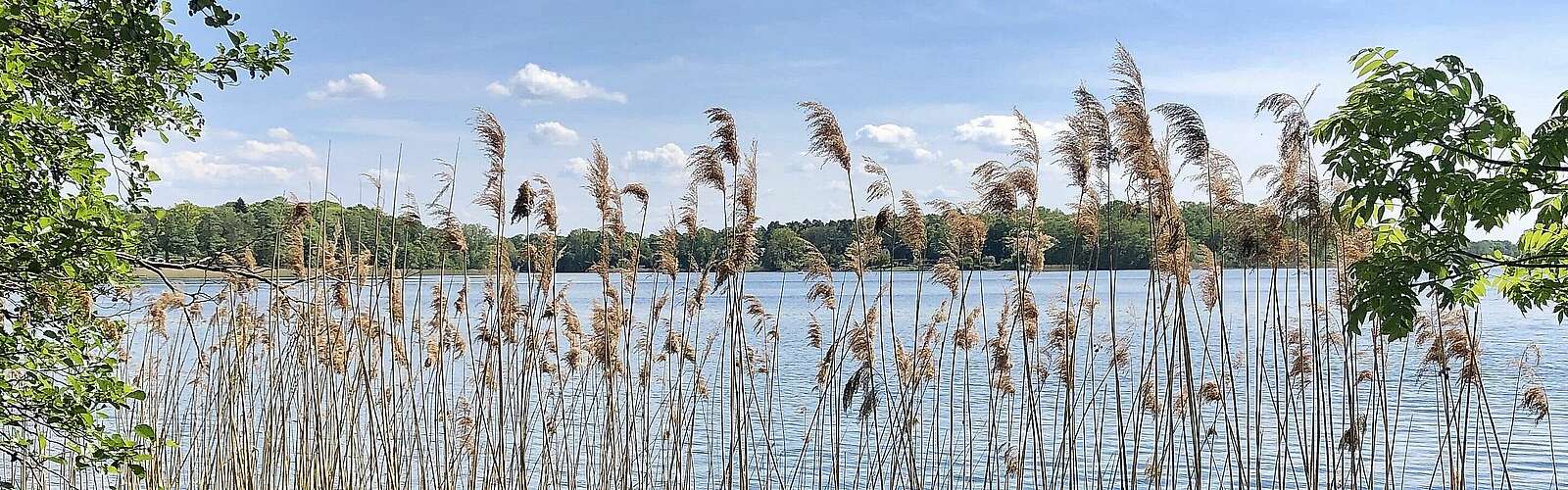 Der Ruppiner See,
            
        
                Foto: Tourismusverband Ruppiner Seenland e.V./Itta Olaj