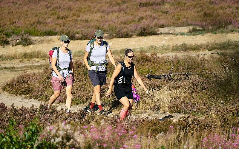 



    
        
                Fontane-Wandermarathon 2023,
            
        
                Foto: Tourismusverband Ruppiner Seenland e.V./Thomas Janowitz
            
    
