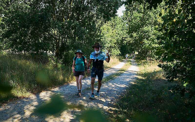 



    
        
                Fontane-Wandermarathon 2023,
            
        
                Foto: Tourismusverband Ruppiner Seenland e.V./Thomas Janowitz
            
    
