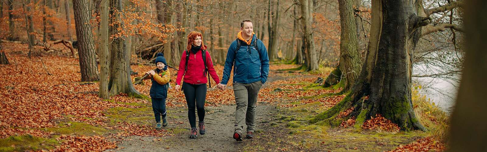 Wanderung am Stechlinsee,
            
        
                Picture: Tourismusverband Ruppiner Seenland e.V./Julia Nimke