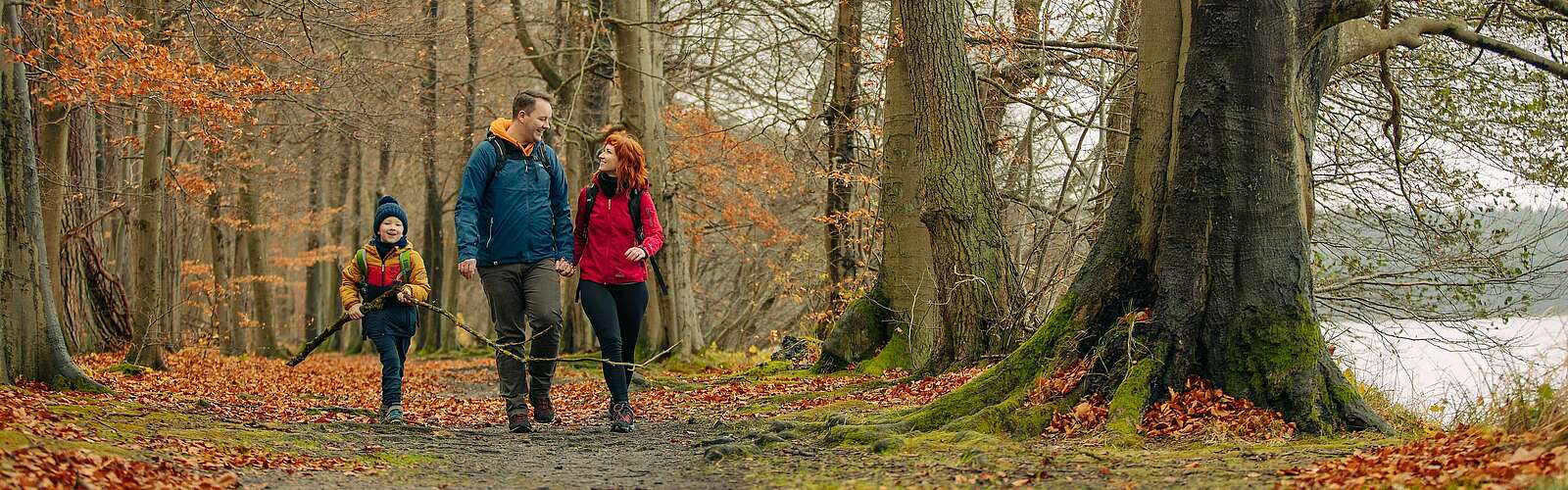 Familie wandert am See,
            
        
                Foto: Tourismusverband Ruppiner Seenland e.V./Julia Nimke