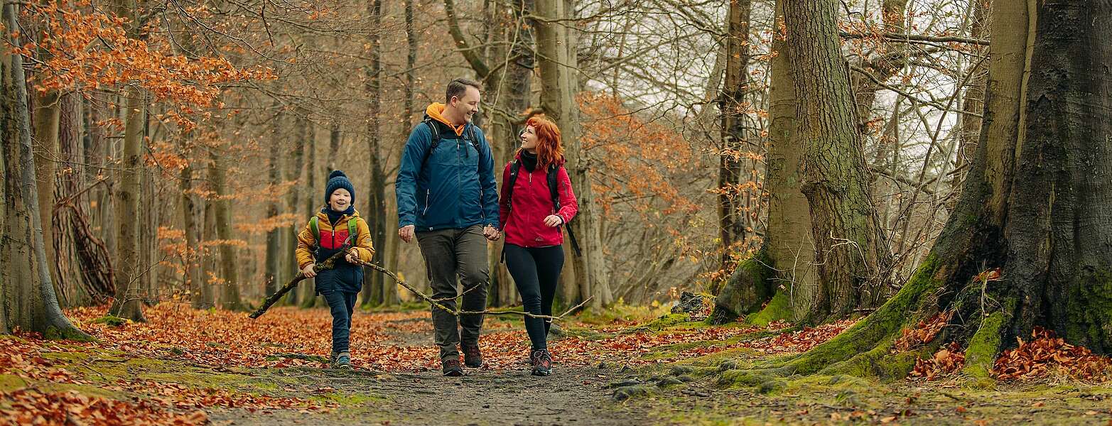 Familie wandert am See,
            
        
                Foto: Tourismusverband Ruppiner Seenland e.V./Julia Nimke