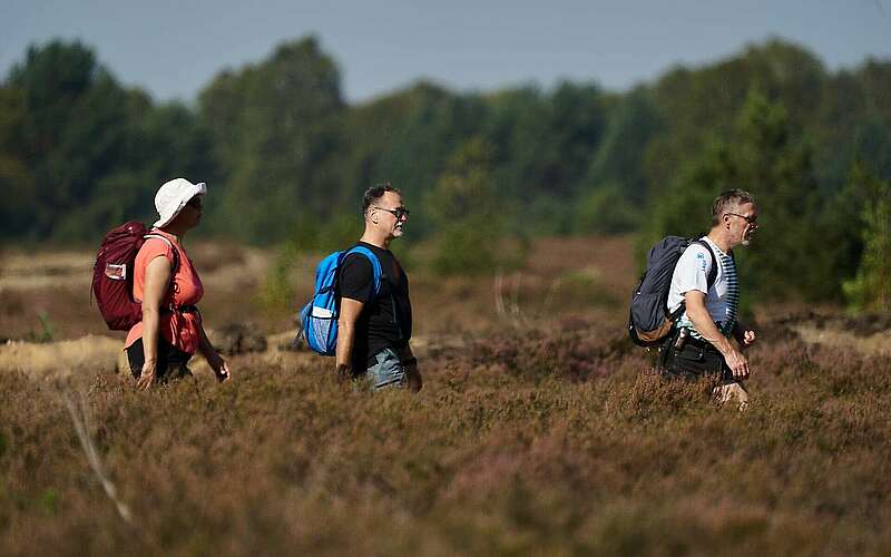 



    
        
                Wanderer in der Kyritz-Ruppiner Heide,
            
        
                Foto: Tourismusverband Ruppiner Seenland e.V./Thomas Janowitz
            
    
