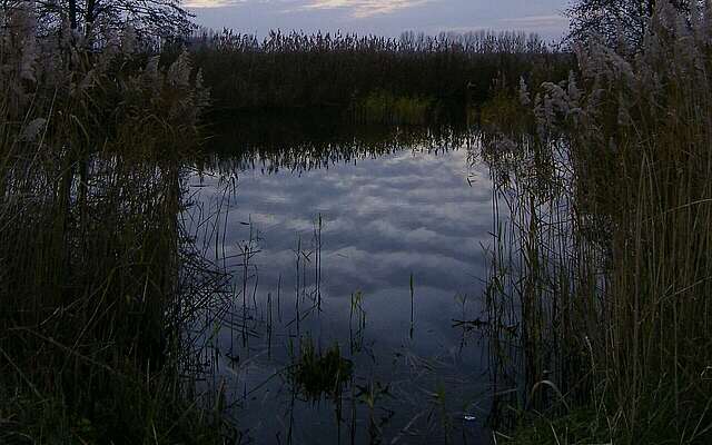 Der Geronsee bei Gransee