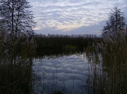 Der Geronsee bei Gransee