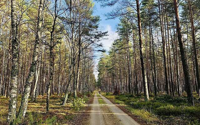 Naturroute zum Tierpark