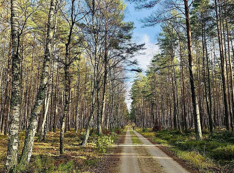 Naturroute zum Tierpark