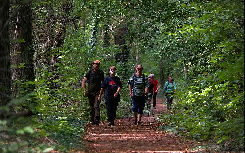 



    
        
                Fontane-Wandermarathon 2022,
            
        
                Foto: Tourismusverband Ruppiner Seenland e.V./Thomas Janowitz
            
    
