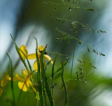 Natur- und Landschaftsführungen