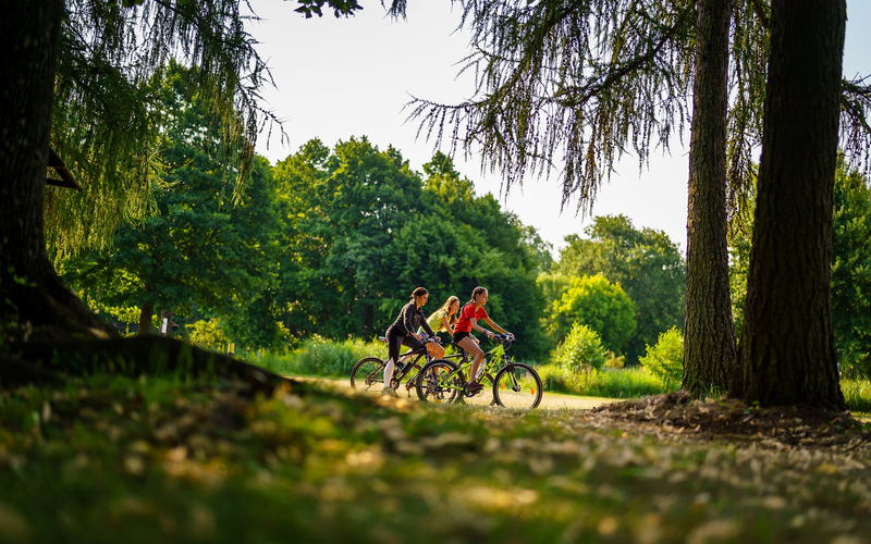 



    
        
                Radfahrerinnen im Wald,
            
        
                Foto: REGiO-Nord mbH/André Wirsig
            
    
