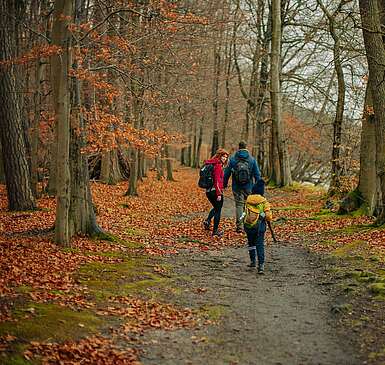 Kleine und große Wanderungen