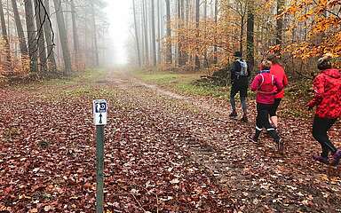 Laufpark Stechlin