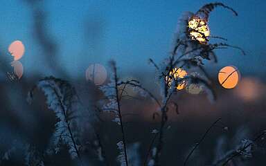 Eiskristalle und Lichtreflexe