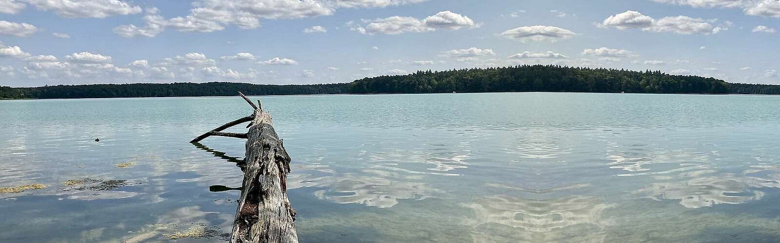 Der glasklare Stechlinsee,
            
        
                Foto: Tourismusverband Ruppiner Seenland e.V./Itta Olaj