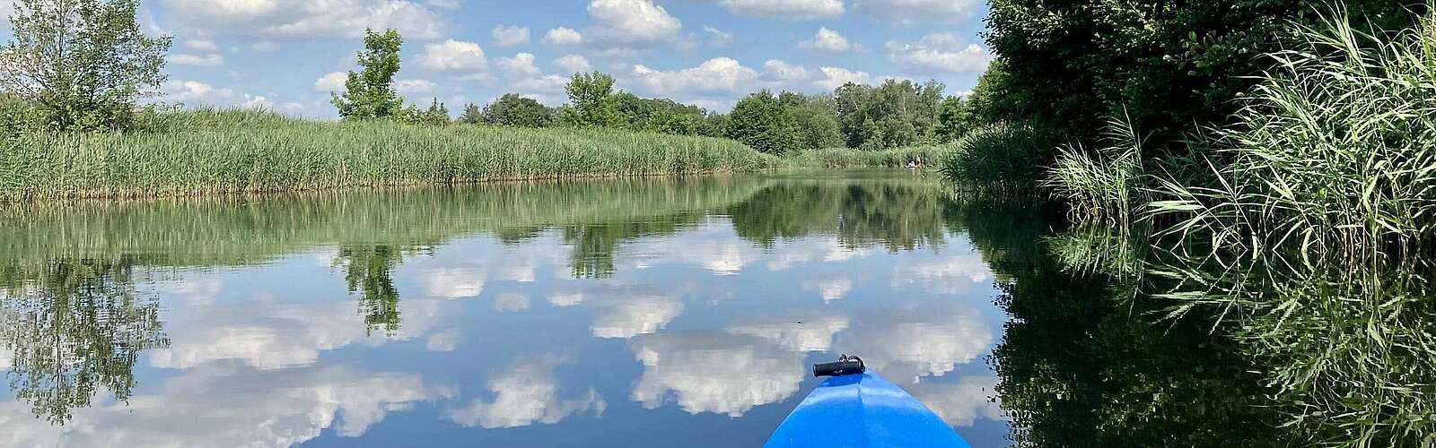 Die Rhinluch-Runde in Fehrbellin,
            
        
                Foto: Tourismusverband Ruppiner Seenland e.V./Itta Olaj