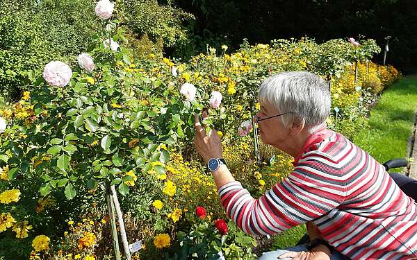 Ostdeutscher Rosengarten mit Rollstuhl