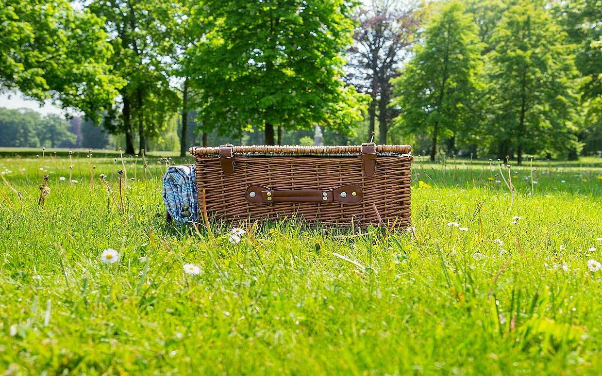 Picknickkoffer im Park