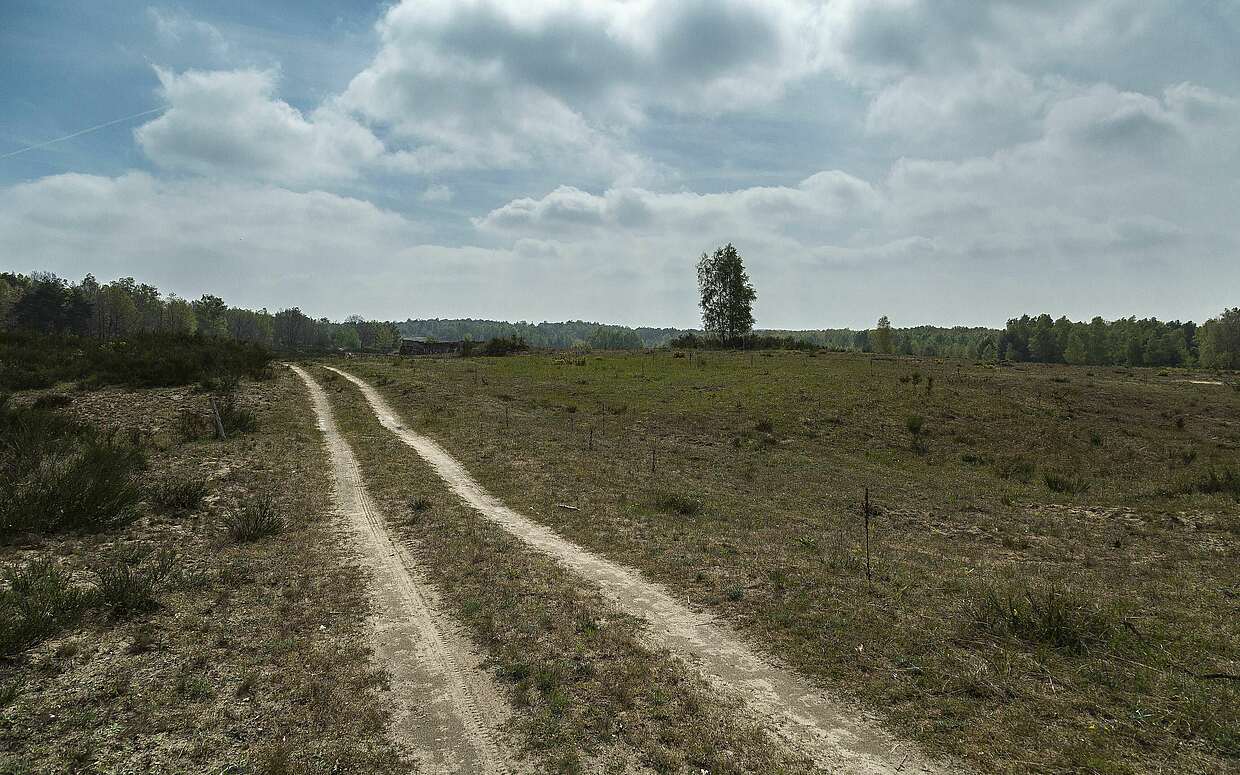 Sielmanns Naturlandschaft Döberitzer Heide