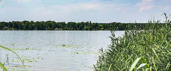 Baden und wandern im Dahme-Seenland