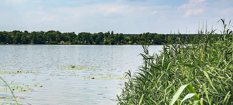 Baden und wandern im Dahme-Seenland