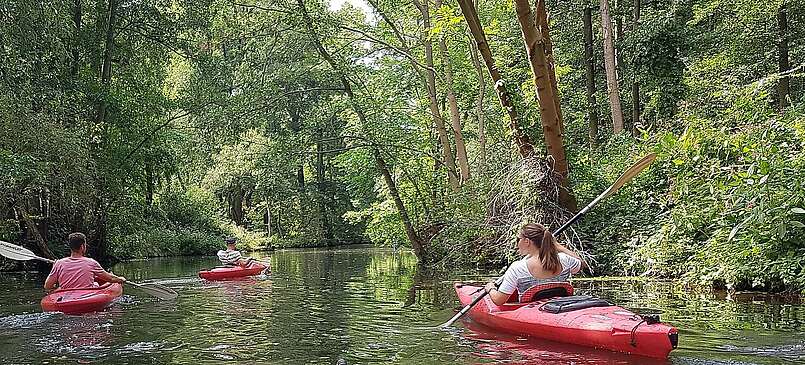 Mit dem Kajak den Spreewald entdecken