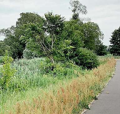 Auf dem Fontane-Radweg durchs Havelland