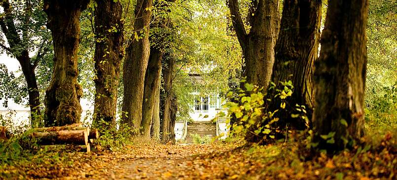 Herbst auf Gut Boltenhof: So geht Familienurlaub