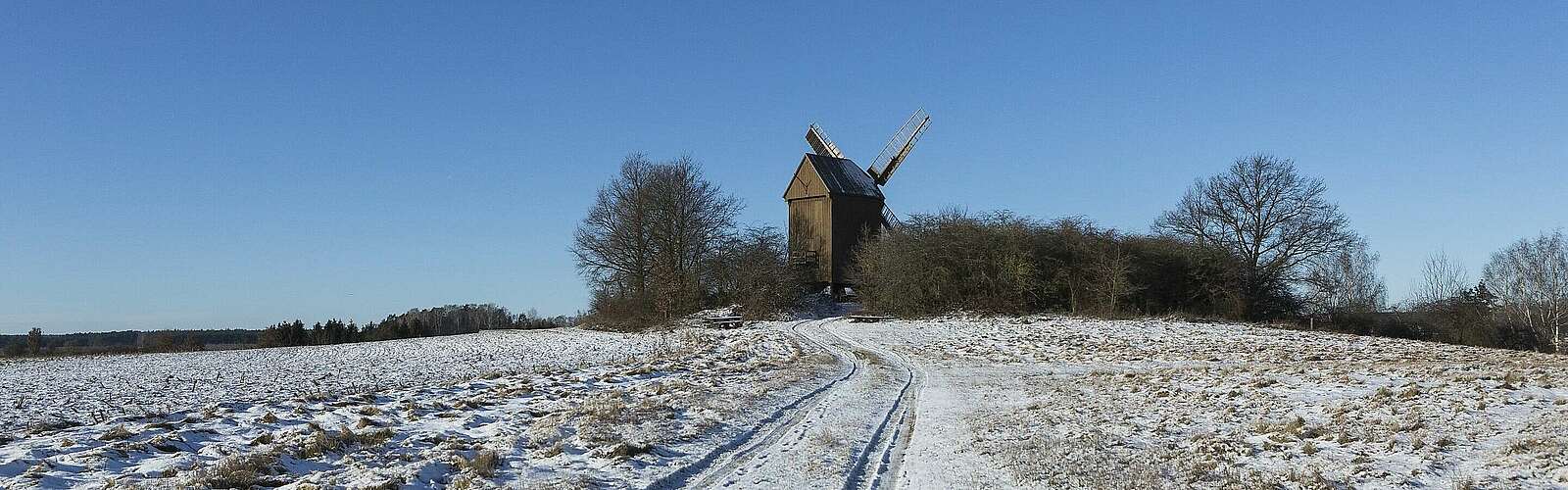 Bockwindmühle Borne,
            
        
                Foto: TMB Tourismus-Marketing Brandenburg GmbH/Steffen Lehmann