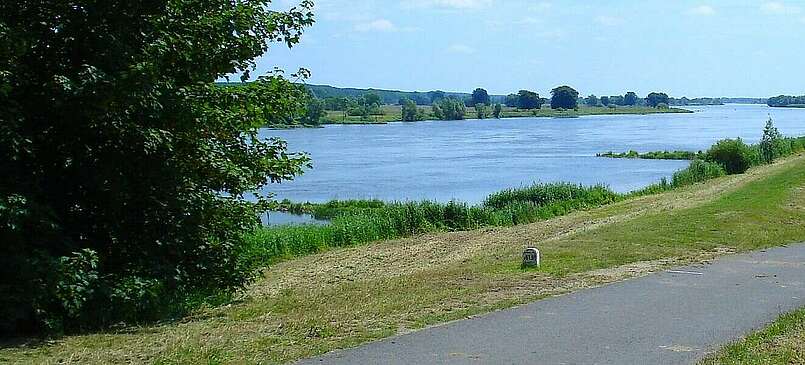 Radtour ins Oderbruch ans östlichste Ende Brandenburgs