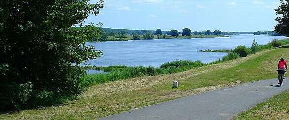 Radtour ins Oderbruch ans östlichste Ende Brandenburgs