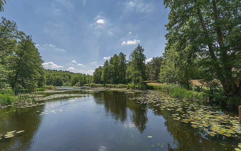 



    
        
                Schlaube nahe Ragower Mühle,
            
        
                Foto: TMB Tourismus-Marketing Brandenburg GmbH/Steffen Lehmann
            
    
