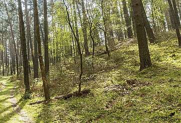 Naturpark Hoher Fläming