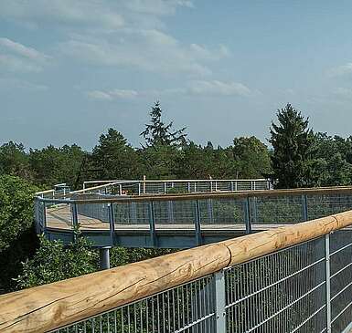 Ein Spaziergang auf dem Baumkronenpfad im Fläming