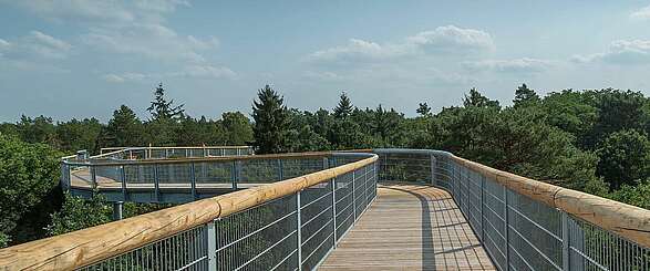 Ein Spaziergang auf dem Baumkronenpfad im Fläming