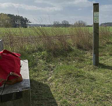 Frühlingswanderung im Fläming: Ab durch die Rummel