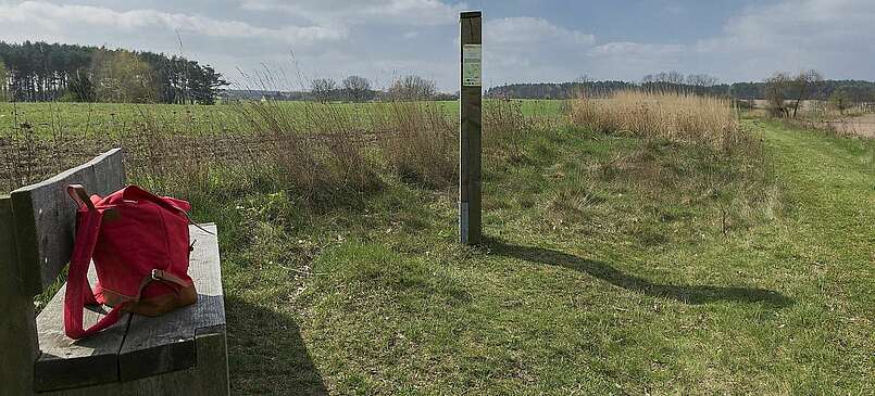 Frühlingswanderung im Fläming: Ab durch die Rummel