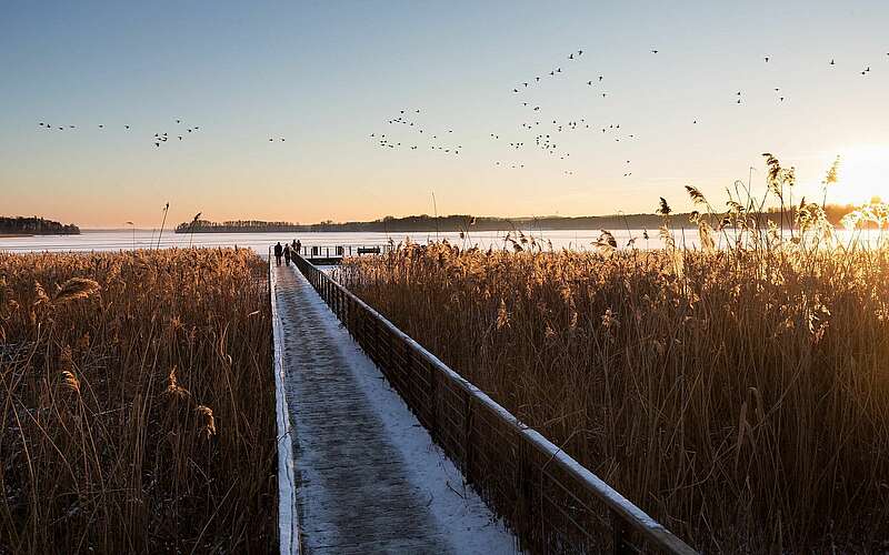 



    
        
                Winter am Scharmützelsee,
            
        
                Foto: Fotograf / Lizenz - Media Import/Yorck Maecke
            
    
